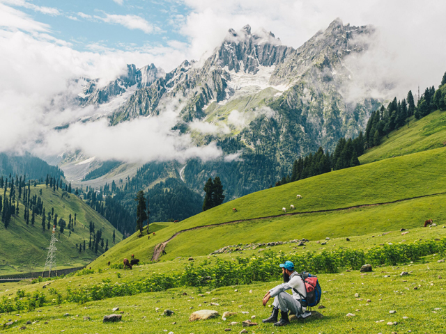 tour operator in pahalgham